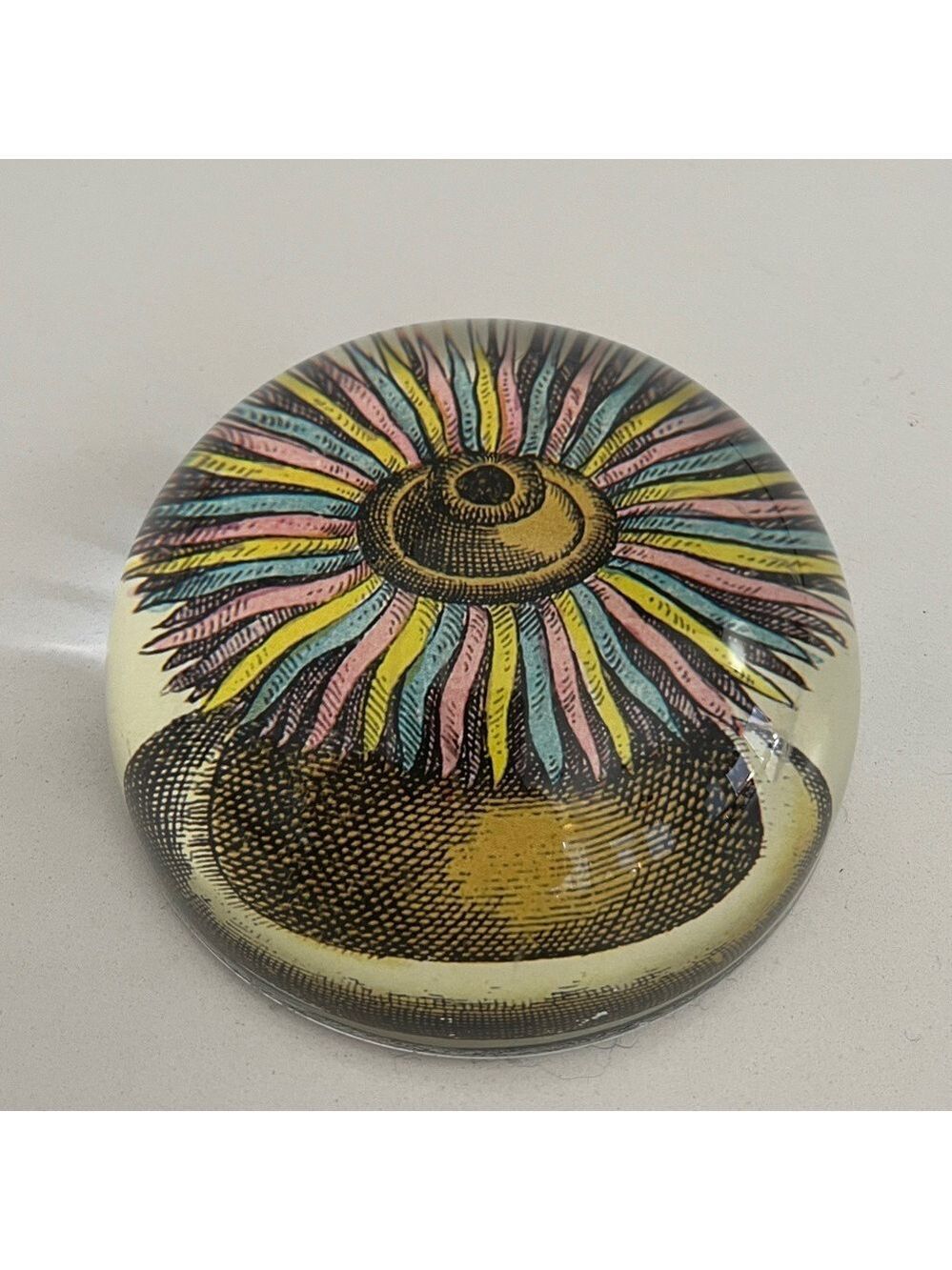 JOHN DERIAN Glass Dome Paperweight Decoupage Sea Anemone Decor Handmade